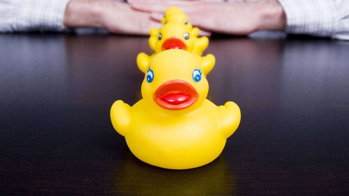 A line of rubber ducks marching across a dark desk
